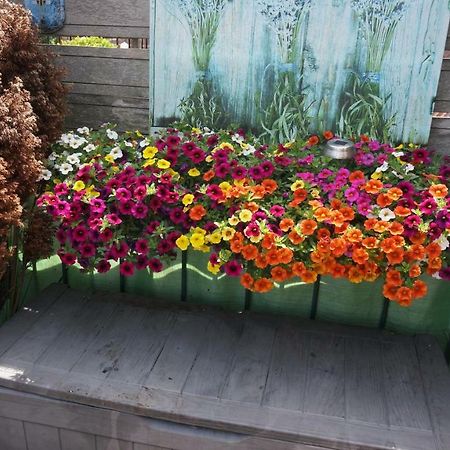 Amsterdam Roof Terrace B&B Luaran gambar